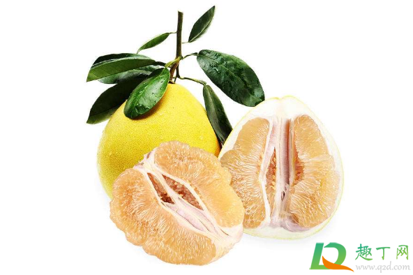 柚子皮硬好还是皮软好(柚子选皮硬的还是软的)