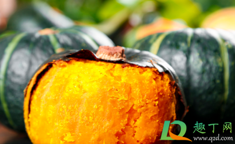 贝贝南瓜露地种植成活率高不(露天南瓜贝贝一亩的产量) 贝贝南瓜露地种植成活率高不(露天南瓜贝贝一亩的产量)