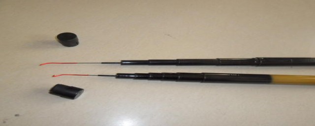 合适竹子推荐(什么样的竹子最好看)