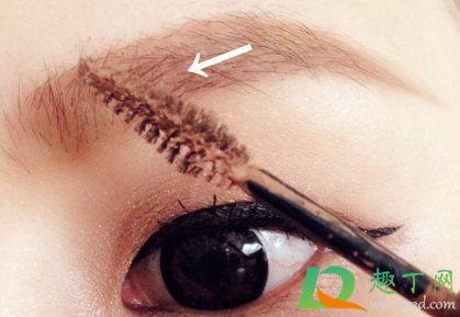 有几根眉毛变白是什么原因(有一根眉毛变白) 有几根眉毛变白是什么原因(有一根眉毛变白)