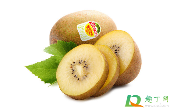 猕猴桃很大个是打了膨大剂吗(怎么看猕猴桃有没有打膨大剂)