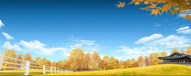 描写秋天的词语有什么(描写秋天的词语有什么四字词语两年级)