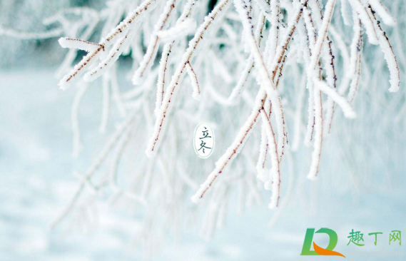 立冬后天黑的越来越早吗(立冬后天黑时间有什么变化)