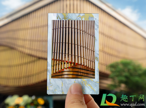 拍立得拍完要甩照片吗(拍立得拍出的照片要甩吗)