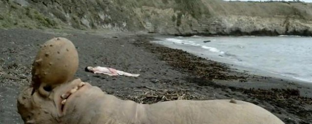 用怪兽鼻涕做香水的电影名字是什么？(大鼻子怪物用鼻子做香水的电影)