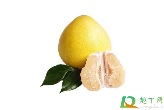 柚子光滑的好还是粗糙的好(柚子硬的好还是软的好)