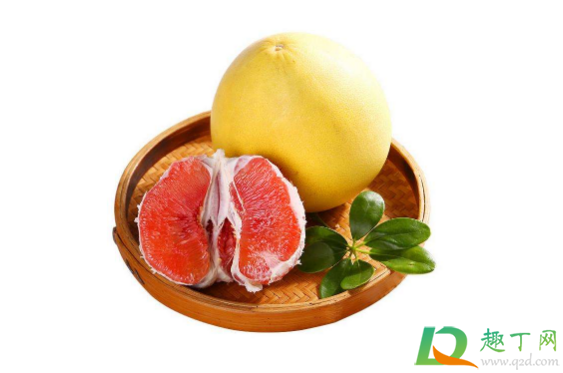 柚子选尖头好还是圆头好(柚子是尖头的好还是平头的好)