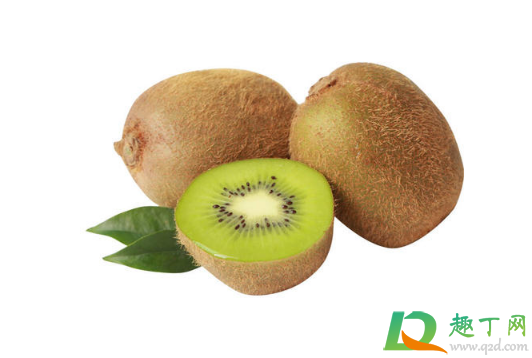 猕猴桃很大个是打了膨大剂吗(怎么看猕猴桃有没有打膨大剂)