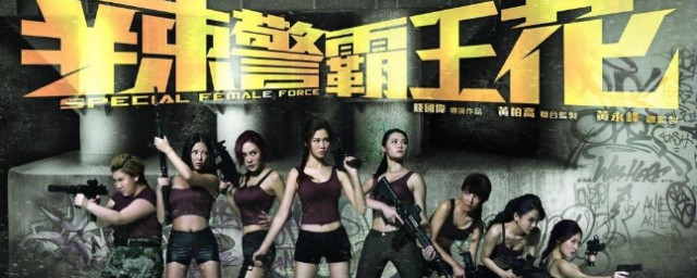 辣警霸王花讲的是什么(我想看辣警霸王花)