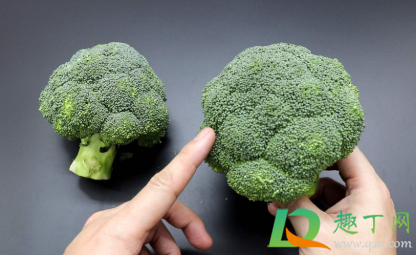黄了的西兰花能不能吃(黄了的西兰花还能吃不)