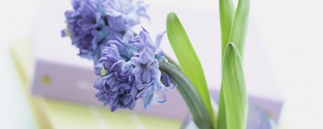 快来收下这几本推荐了(不错的书推荐)