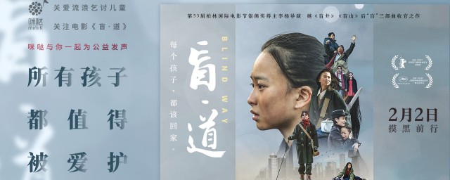 盲道主演是谁(盲道这部电影具体剧情)