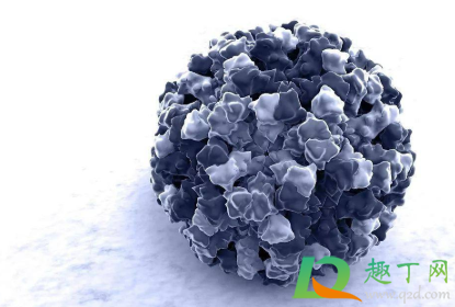 诺如病毒是怎样感染的(诺如病毒是怎么传染的)