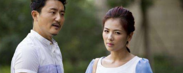 电视剧幸福两部曲讲的是什么(电视剧幸福二部曲剧情介绍)