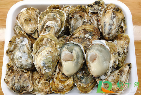 生蚝清蒸需要去内脏吗(生蚝需要清洗内脏吗) 生蚝清蒸需要去内脏吗(生蚝需要清洗内脏吗)