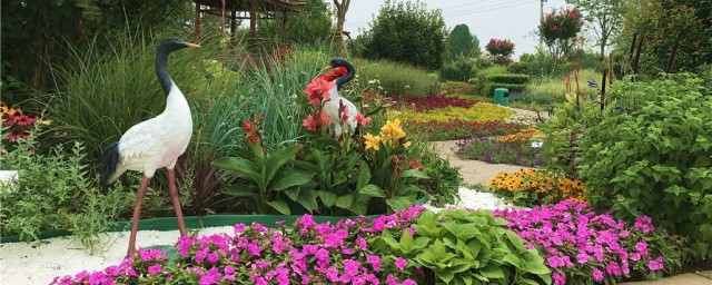 庭院花草如何搭配才好看?(庭院种什么花草好看)