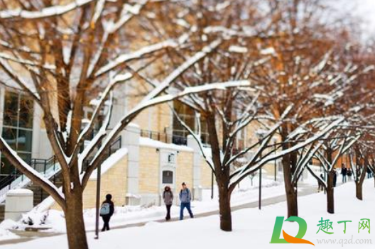 2020年冬天会像2008年吗(2020年的冬天似乎比往年)