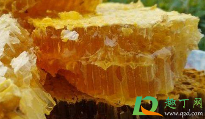 怎么判断是不是野生蜂蜜(野生的蜂蜜如何判断)