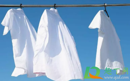 白色t恤发黄用什么能够洗白(白T恤发黄怎么洗白小妙招)