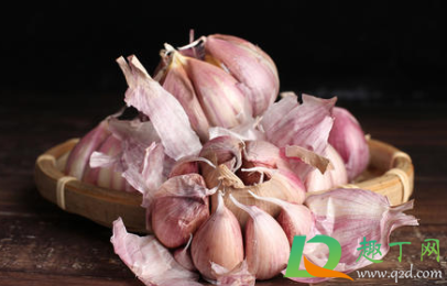紫皮蒜和白皮蒜哪个好(紫皮蒜好还是白皮蒜好)