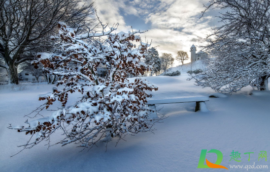 2020年冬天会像2008年吗(2020年的冬天似乎比往年)