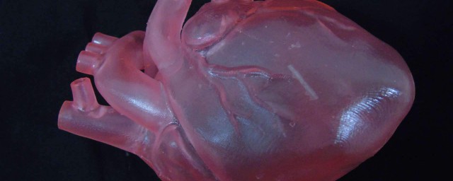 左心房右心室在哪个位置(左心房和右心房具体位置在哪)