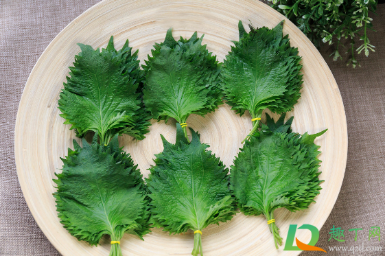 蒸大闸蟹放的叶子是什么(蒸大闸蟹都放什么东西)