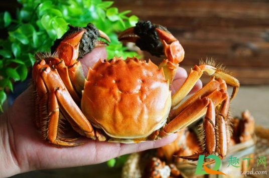 大闸蟹吐沙用清水还是用盐水(大闸蟹吐沙子用放盐吗)