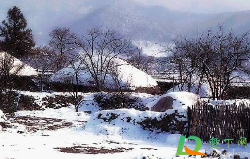 2020年冬天冷到什么时候(2020年冬天最冷是哪几天)