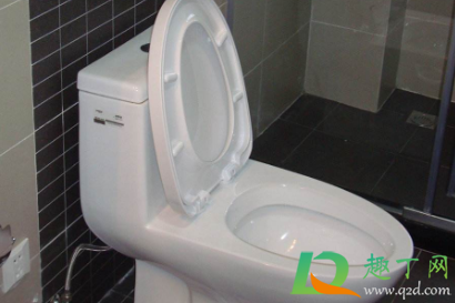 厕纸扔马桶会堵吗(厕所马桶扔卫生纸会不会堵)