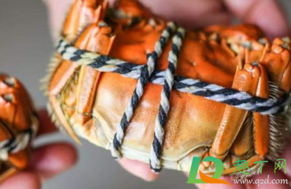 当天螃蟹死了能不能吃了(当天死的螃蟹还能不能吃)