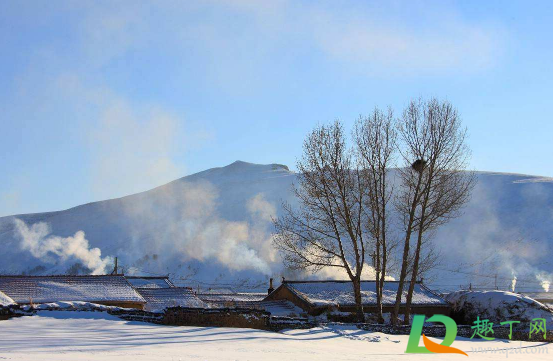 今年的冬天会冷到什么程度2020(2020为什么冬天今年特别冷)