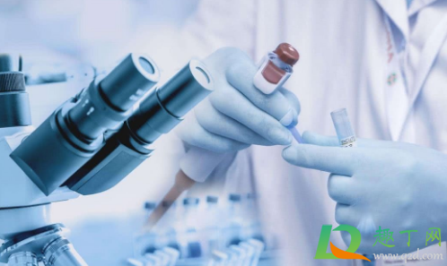 新冠疫苗预约必须是本地的吗(新冠疫苗可以直接预约吗)