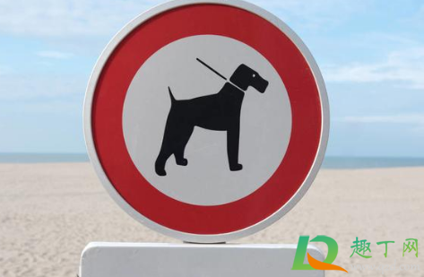 有狗证突然变禁养犬咋办(禁犬怎么办狗证)