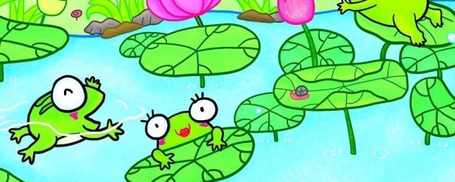 做到这两点能有效保护青蛙(怎么样才能保护青蛙)
