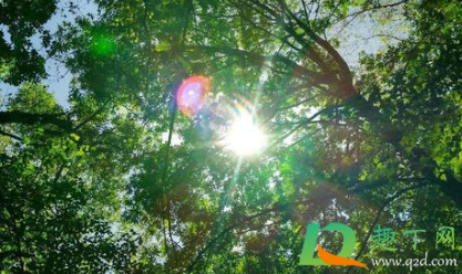 眼睛看太阳光刺眼流泪怎么办(觉得阳光刺眼流泪怎么办)