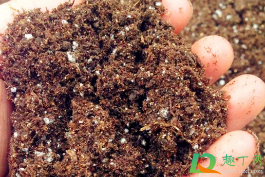 花土碱性大怎么处理(如何改善花土的碱性)