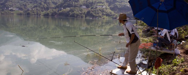 拴八字方法比较牢固(拴结怎么拴)