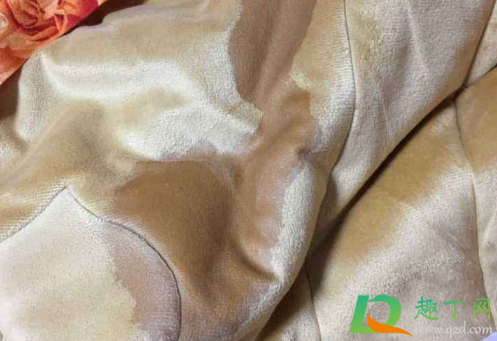 被子上有猫尿柠檬可以去味吗(被子上的猫尿怎么去味)