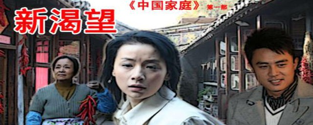 中国家庭之新渴望电视剧大结局大剧透(中国式家庭之新渴望大结局)