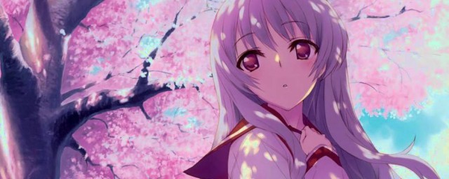 详细攻略(金兜洞副本详细攻略)