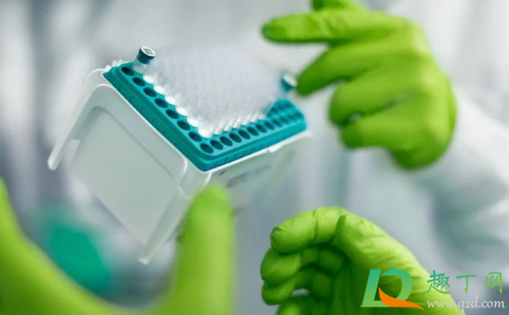 出国劳务能不能打新冠疫苗(出国劳务怎么申请打新冠疫苗)