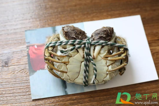 螃蟹是先洗后绑还是先绑后洗(绑好螃蟹怎么洗才干净) 螃蟹是先洗后绑还是先绑后洗(绑好螃蟹怎么洗才干净)