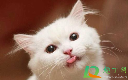 舌苔发黄厚是什么原因(宝宝舌苔发黄厚是什么原因)