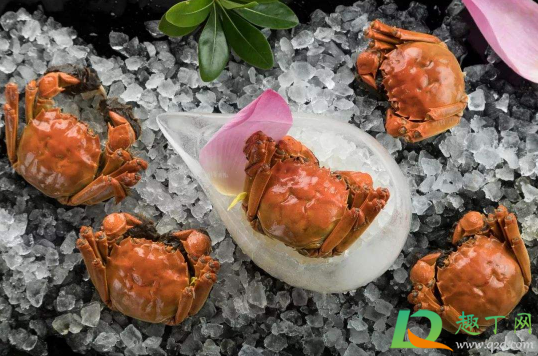 螃蟹吐沙要吐多久(螃蟹要吐多久的沙子)