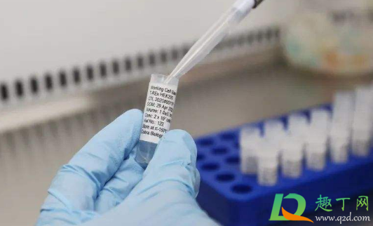 新冠疫苗预约必须是本地的吗(新冠疫苗可以直接预约吗)