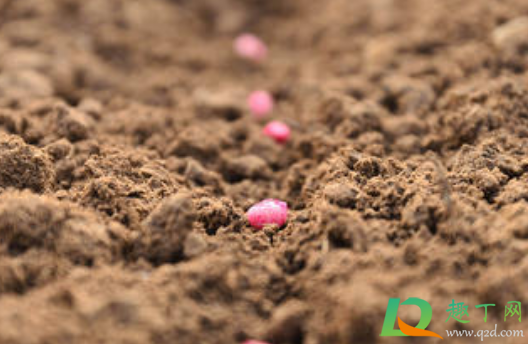 花土碱性大怎么处理(如何改善花土的碱性)