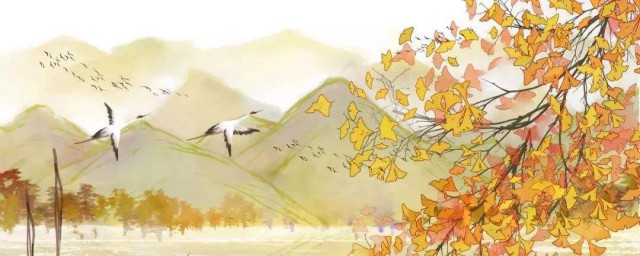 可以看看这些(可以看看这个)