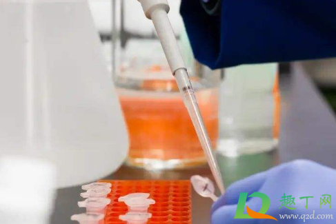 新冠疫苗影响入职体检吗(刚打完新冠疫苗能做入职体检吗) 新冠疫苗影响入职体检吗(刚打完新冠疫苗能做入职体检吗)