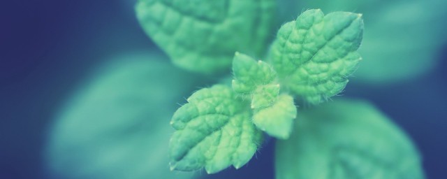 关于夏天优美的句子(关于夏天优美的句子有哪些)